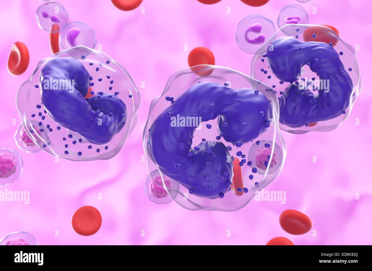 Cellule leucemia mielogena cronica (LMC) nel flusso sanguigno - vista semi-primo piano illustrazione 3d. Foto Stock