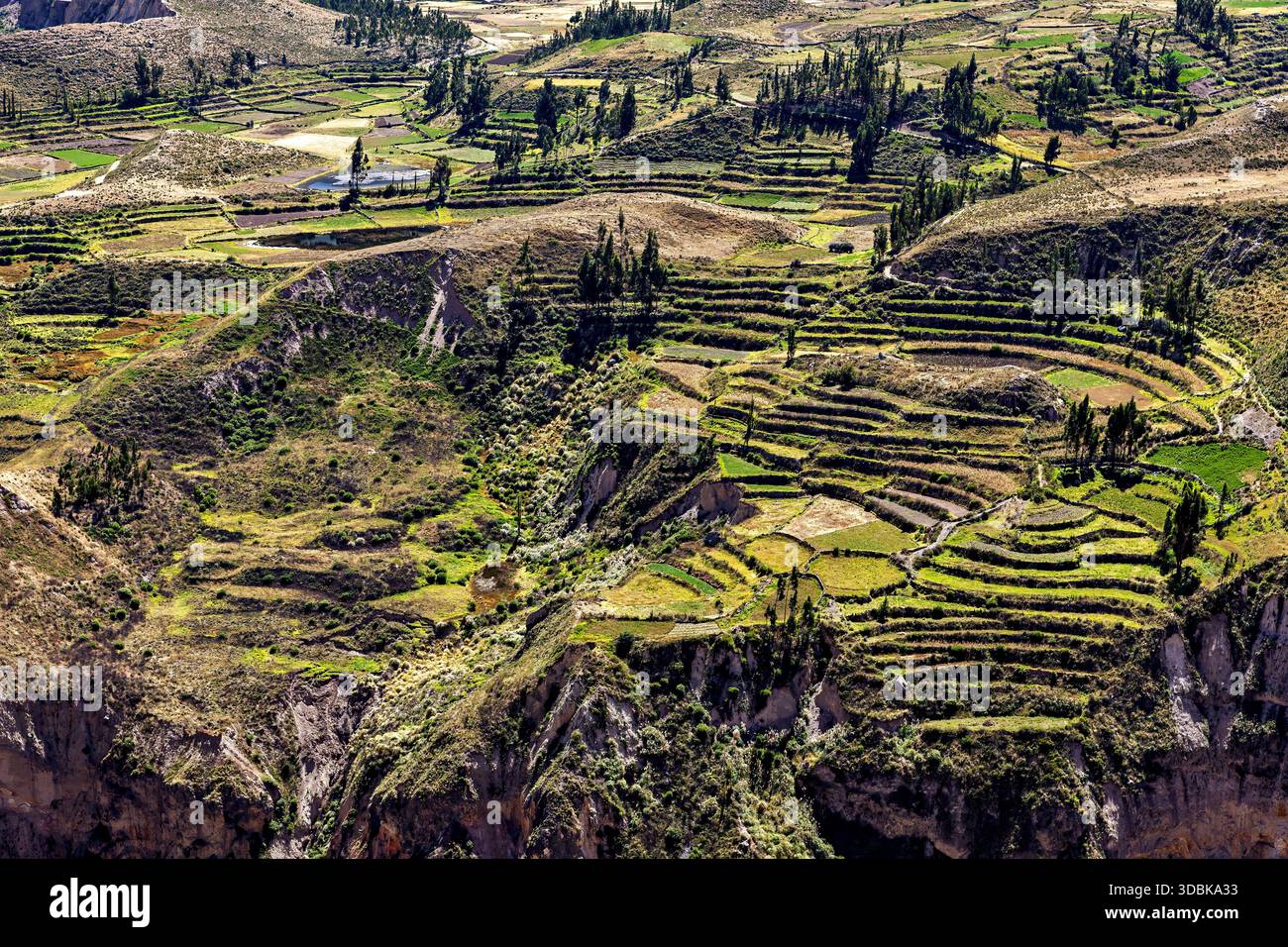 Le montagne andine e la valle del canyon colca Foto Stock