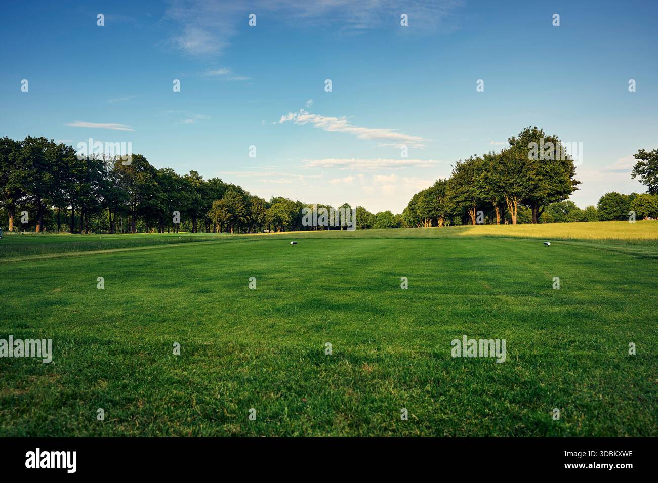 Vista ad angolo basso di un tee box su un campo da golf ben tenuto, circondato da file di alberi sotto un cielo sereno e blu. Ambiente naturale tranquillo, perfetto per golf, sport all'aperto e attività ricreative. Foto Stock