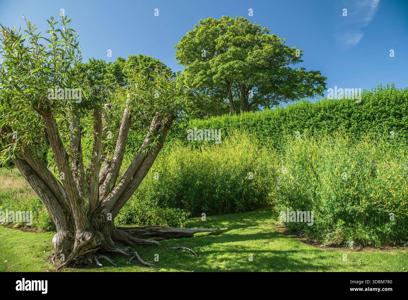 Paesaggio naturale lungo il sentiero escursionistico Foto Stock