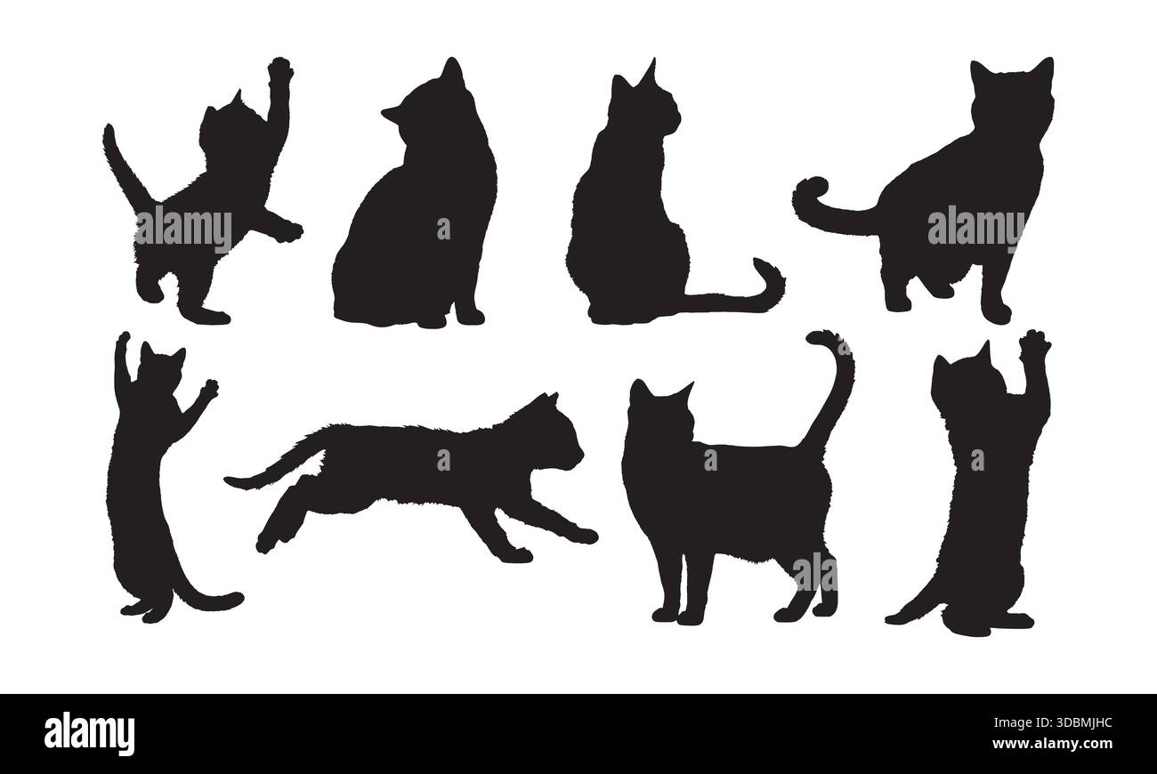 Collezione di icone PET Feline con set vettoriali silhouette Cat Illustrazione Vettoriale