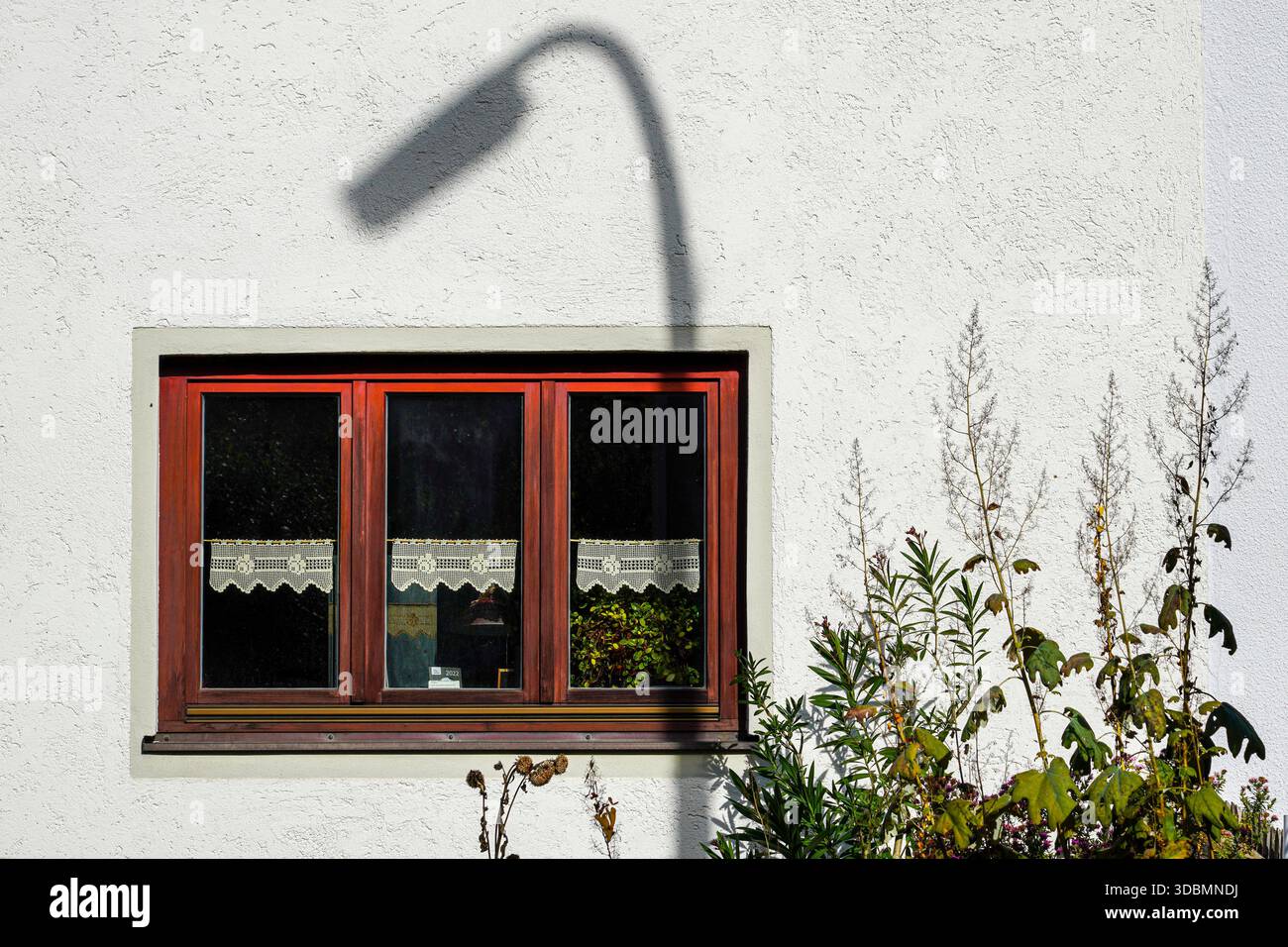 Streetlight Shadow, Freising, Germania, facciata di un condominio con una finestra incorniciata in legno, tende in pizzo e cespugli davanti, mentre la forte ombra di un lampione cade attraverso il muro bianco, Foto Stock