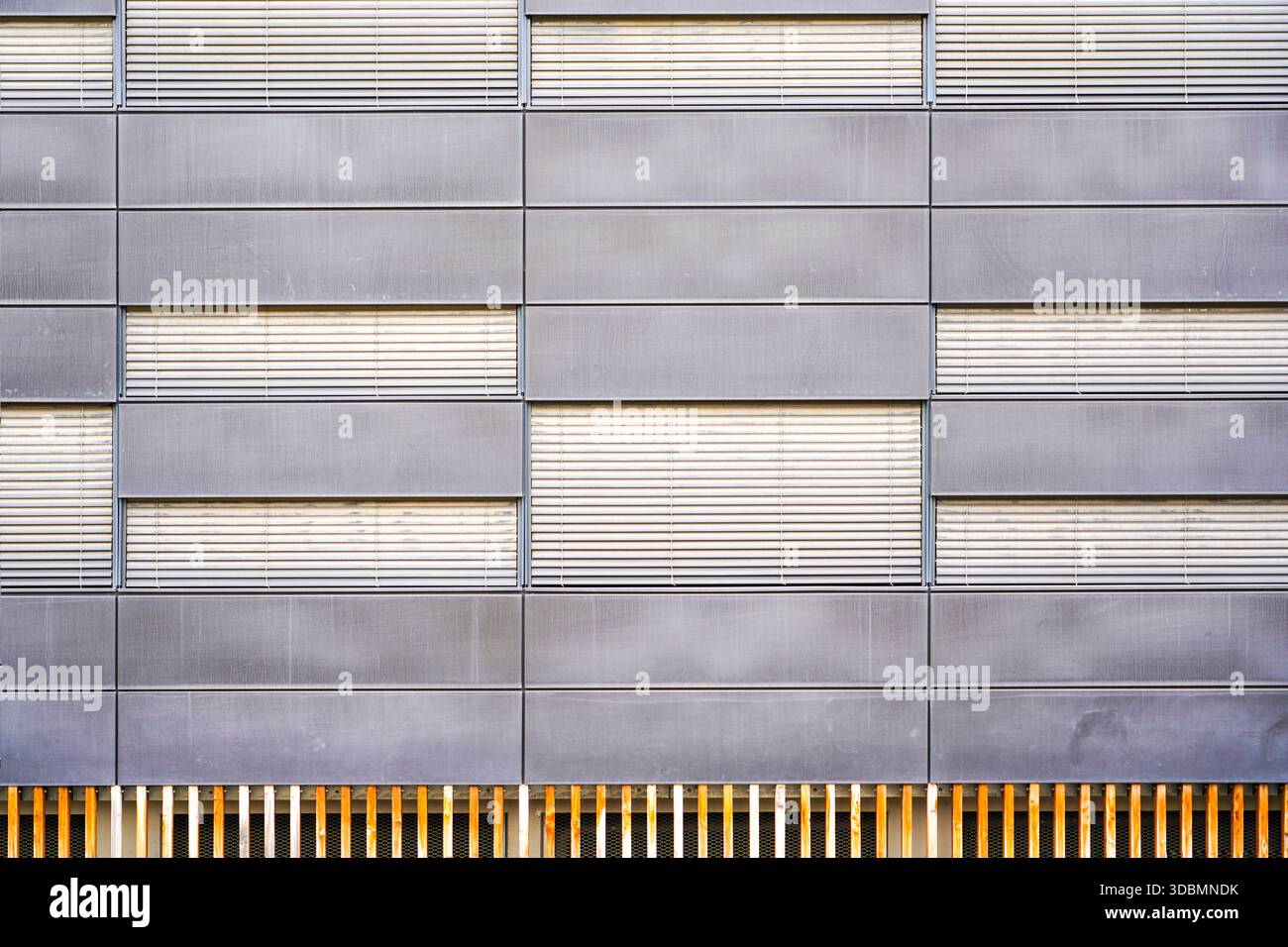 Struttura grigia delle finestre, Grenoble, Francia, facciata di un edificio per uffici con una griglia di pannelli grigi e finestre con persiane, accentuata da rivestimenti in legno alla base che aggiungono calore al design moderno, Foto Stock