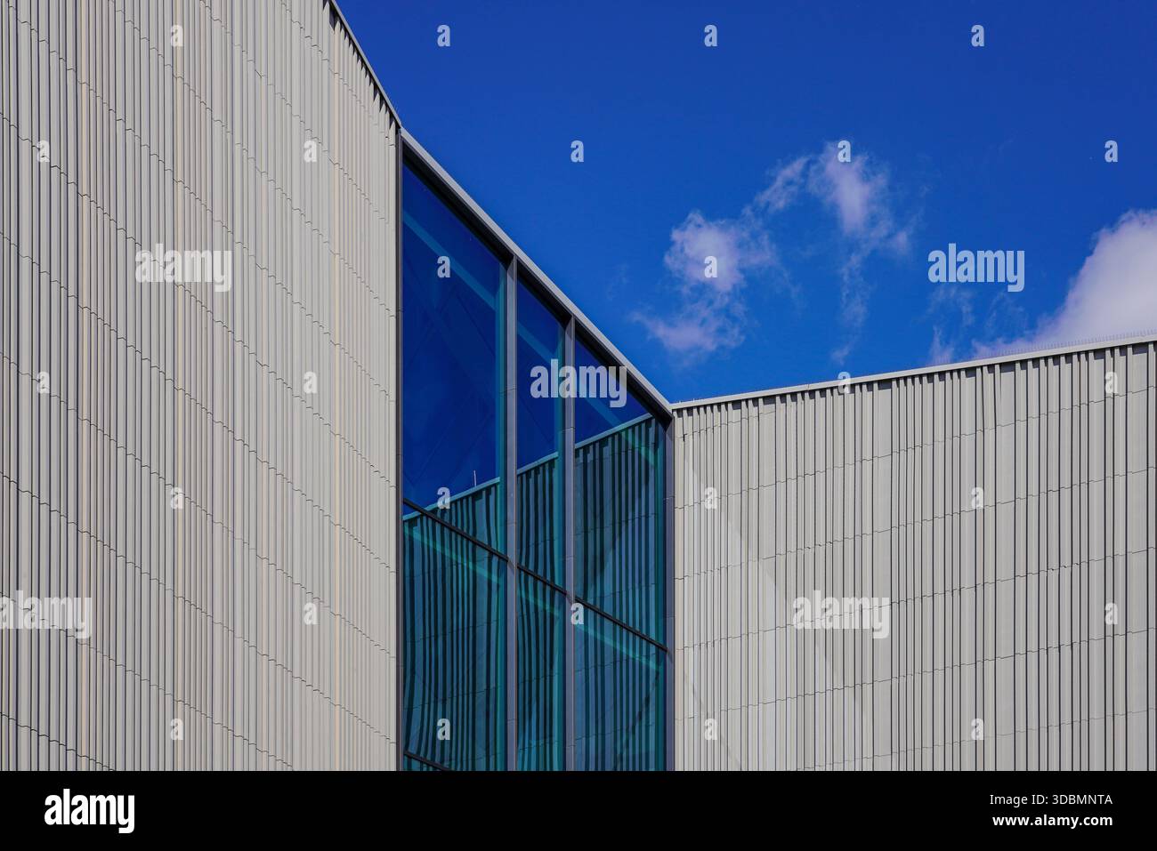 Ratisbona, Germania, facciata della Haus der Bayerischen Geschichte con rivestimento verticale e ampie superfici vetrate, progettata dagli architetti Wörner, Traxler, Richter. Foto Stock