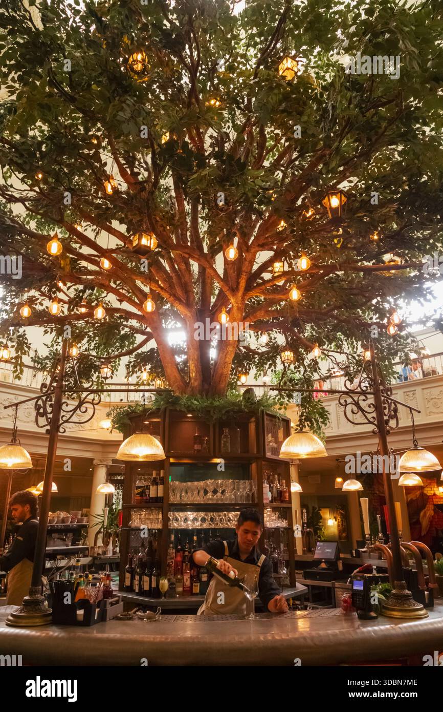 Inghilterra, Somerset, Bath, Milsom Place, il bar e ristorante botanico, vista interna dell'area bar Foto Stock