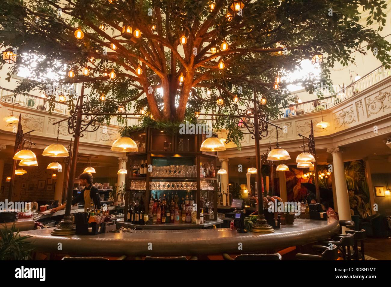 Inghilterra, Somerset, Bath, Milsom Place, il bar e ristorante botanico, vista interna dell'area bar Foto Stock