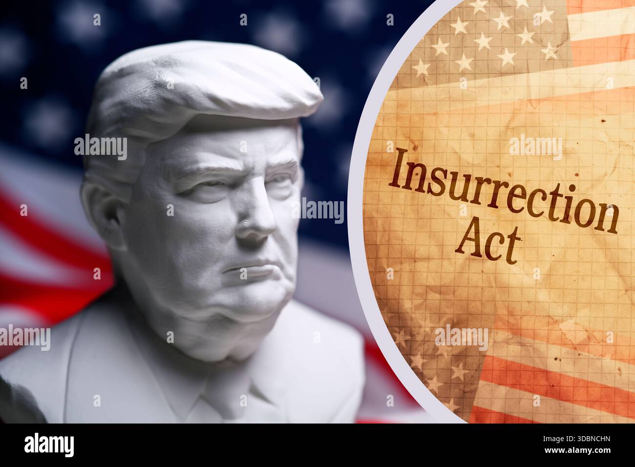 Busto del presidente degli Stati Uniti Donald Trump e pagina con Inscription Insurrection Act, fotomontaggio Foto Stock