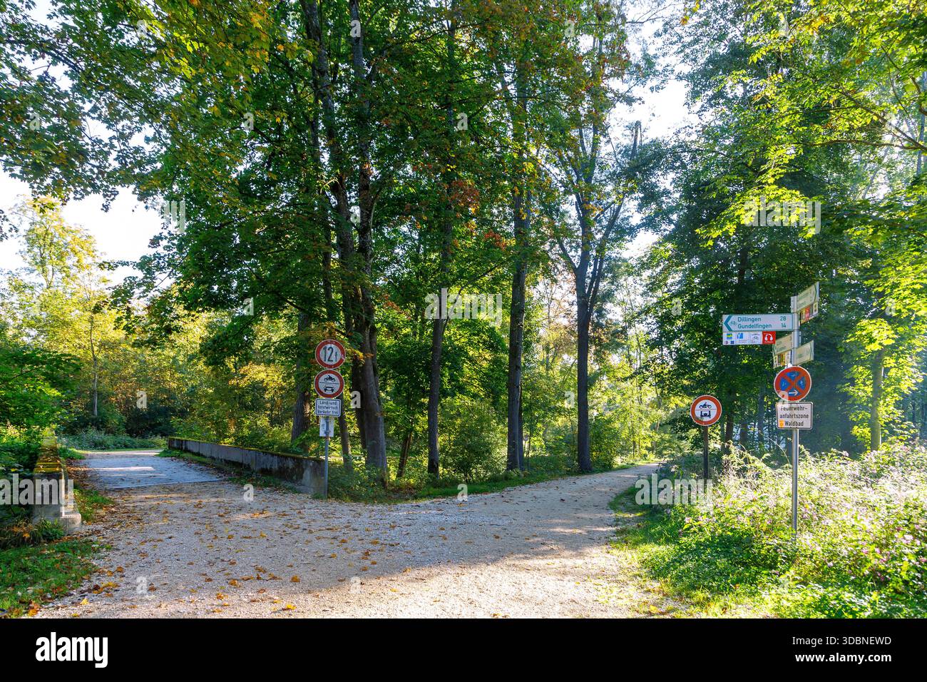 Piste ciclabili e cartelli con indicazioni sulle piste ciclabili del Danubio vicino a Günzburg, Svevia Bavarese, Svevia, Baviera, Germania Foto Stock