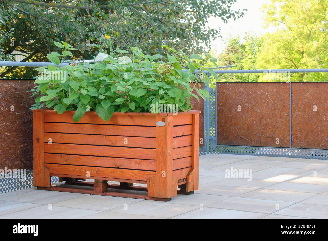 Il grande contenitore di fiori in legno sulla terrazza (mobili per pallet) Foto Stock