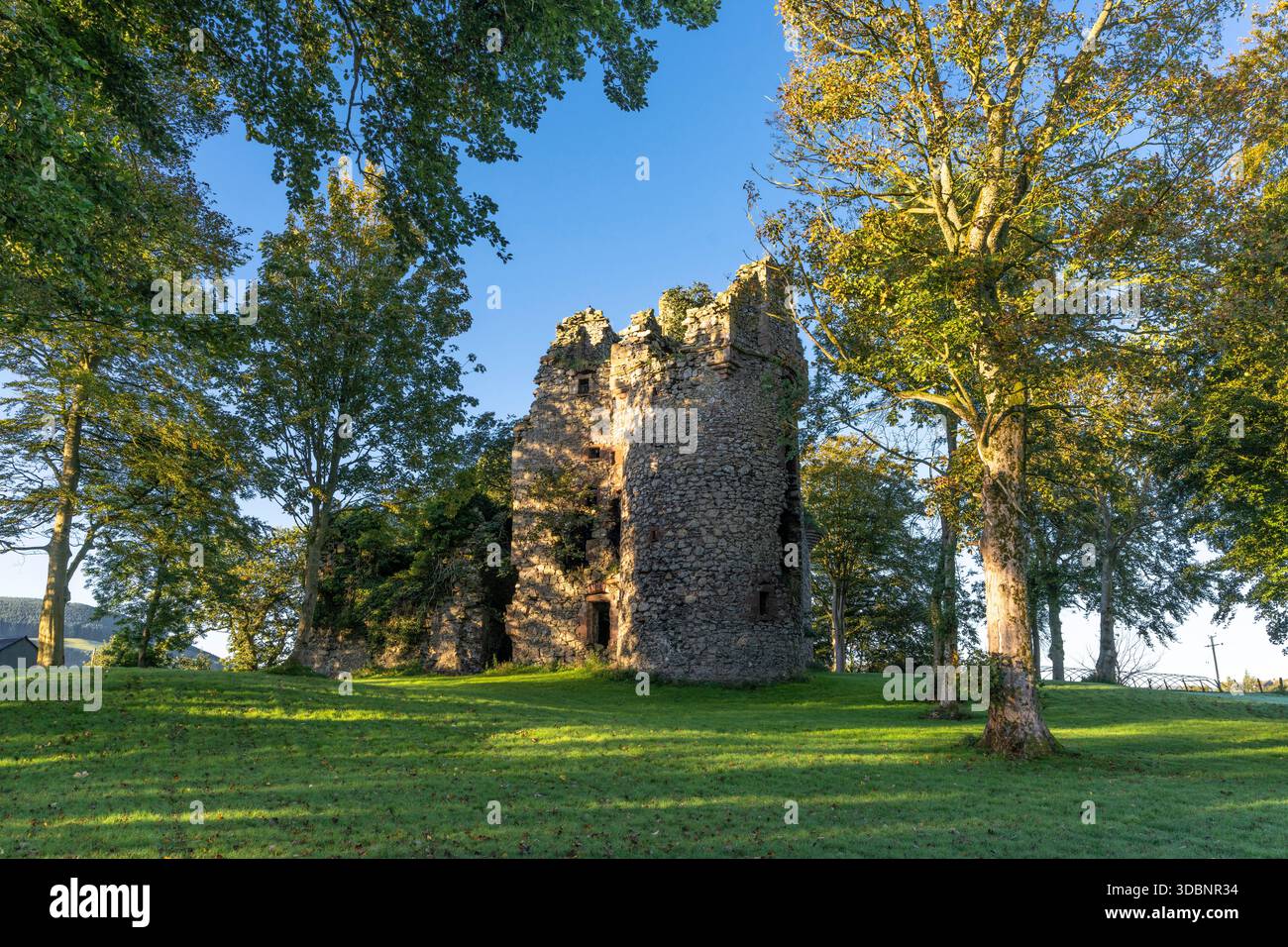 Torre del castello in rovina in un parco illuminato dal sole con erba verde e alberi alti, paesaggio di Tweeddale. Foto Stock