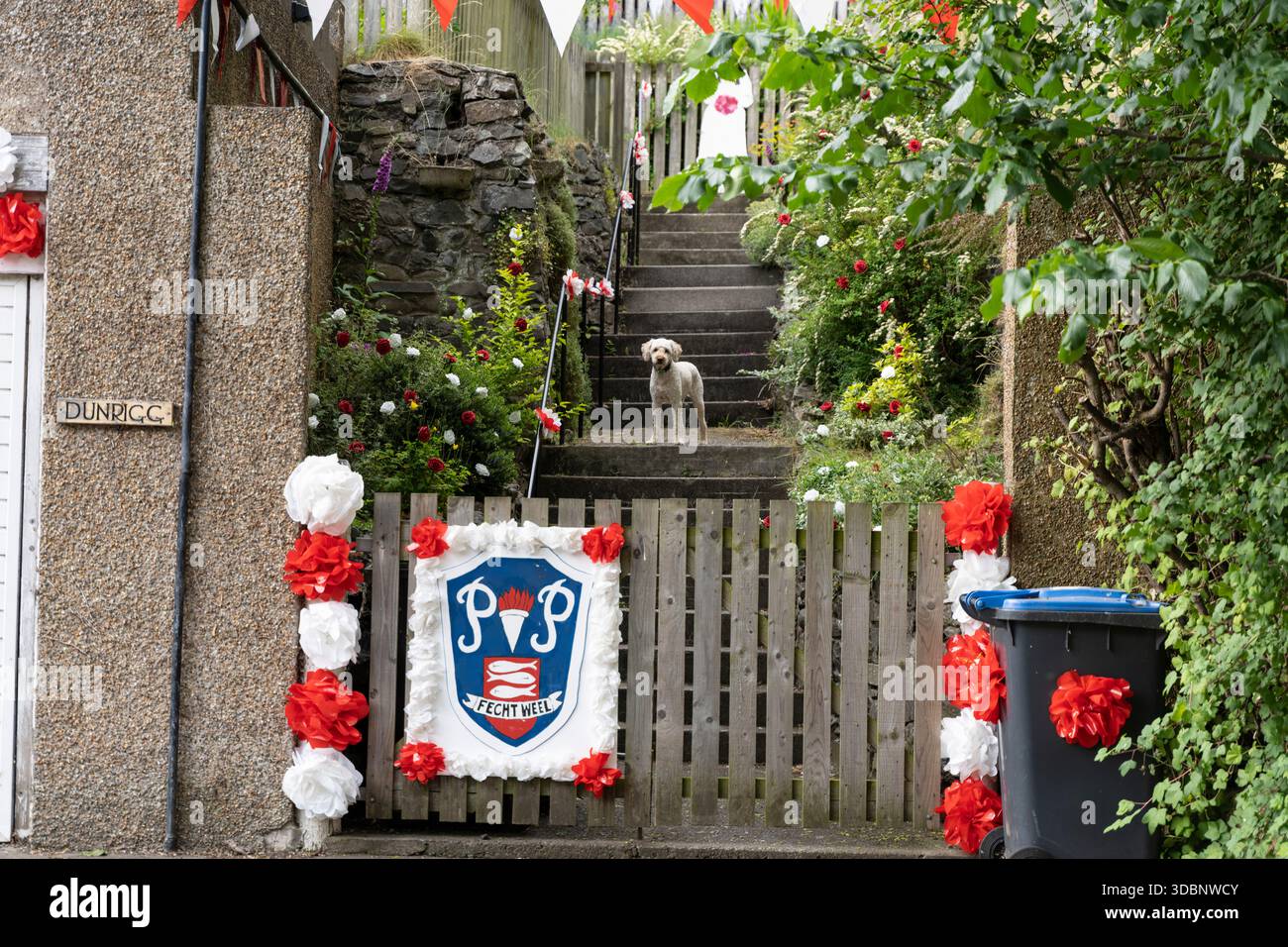 Incantevole giardino con cancello decorato, cuccioli festivi e un piccolo cane su gradini di pietra. Foto Stock