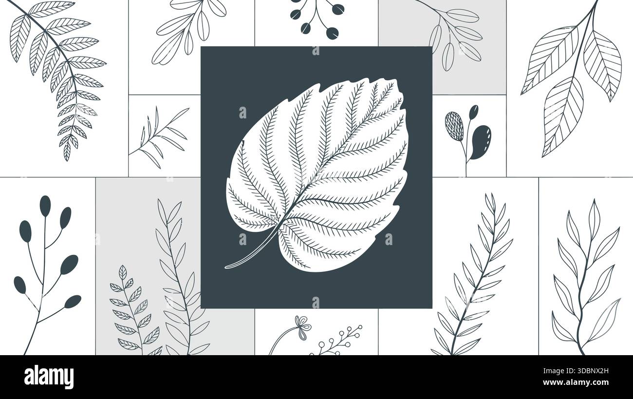 Illustrazioni di foglie botaniche diverse Illustrazione Vettoriale