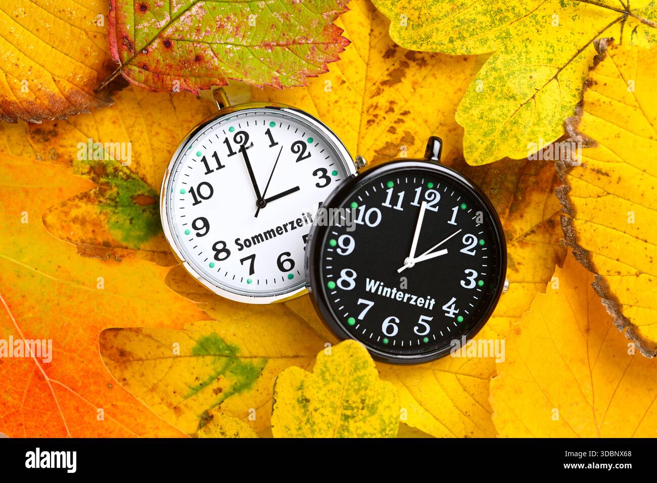 Orologio bianco e nero con le iscrizioni ora legale e ora invernale sulle foglie autunnali, l'ora simbolica delle foto cambia in ora invernale, fotomontaggio Foto Stock