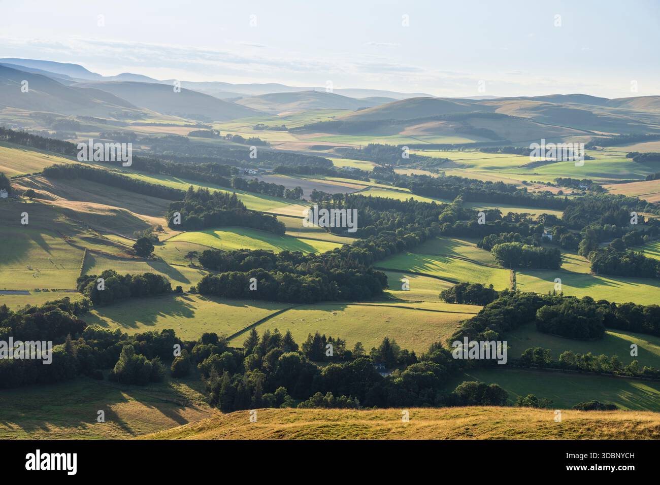 Panorama panoramico delle fattorie di Tweeddale con colline ondulate, campi e alberi sotto la luce del giorno. Foto Stock