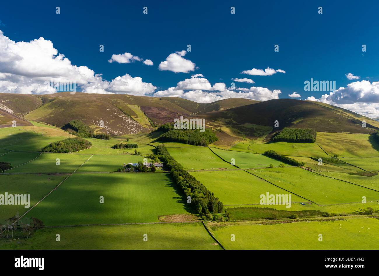 Un vasto panorama di campagna con campi patchwork, colline e un suggestivo cielo blu sopra Peebles oggi. Foto Stock