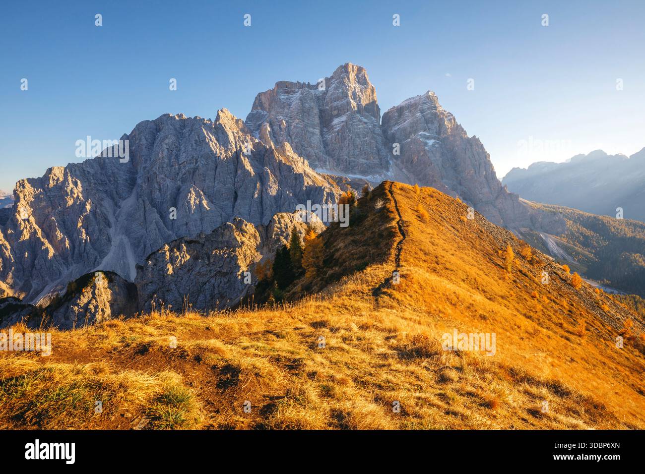 Luce d'autunno dorata sul sentiero del col de la Puina di fronte al Monte Pelmo al tramonto. Val Fiorentina, Borca di Cadore, provincia di Belluno, Veneto, Italia Foto Stock