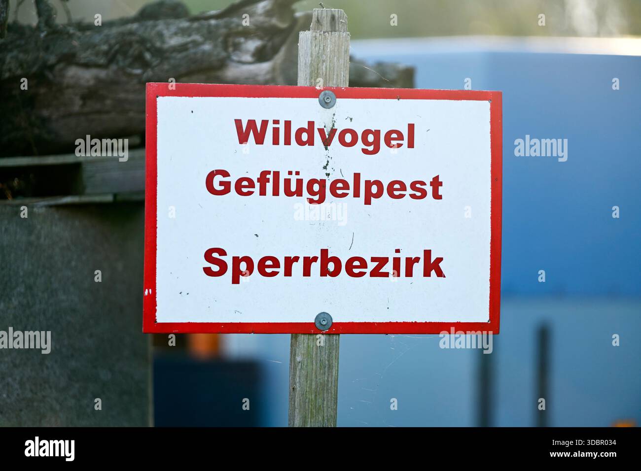 Firma con l'iscrizione Wild Bird flu Restricted area, immagine simbolica Foto Stock