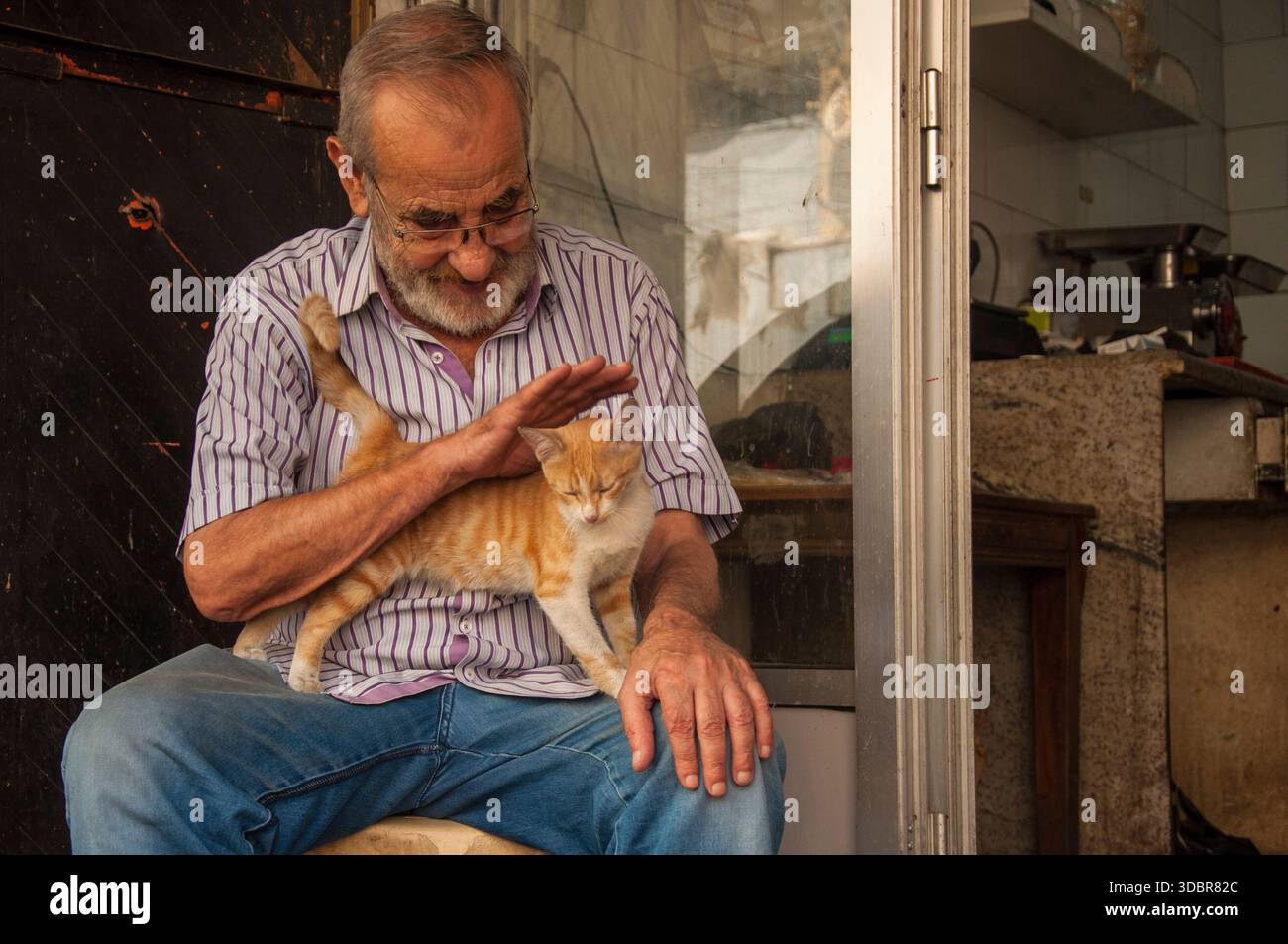 Uomo che accarezza un gatto in Tripoli Street, Libano Foto Stock