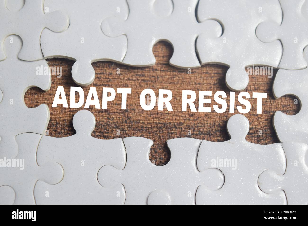 Puzzle con parola Adapt o Resistant. Business e finanza Foto Stock