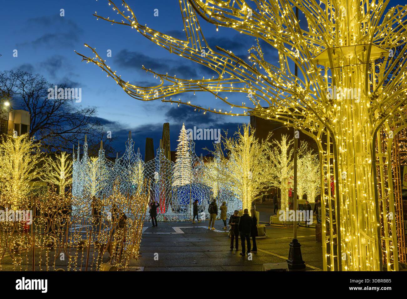 Lights of Wonder, Centennial Square, Victoria, British Columbia, Canada Foto Stock