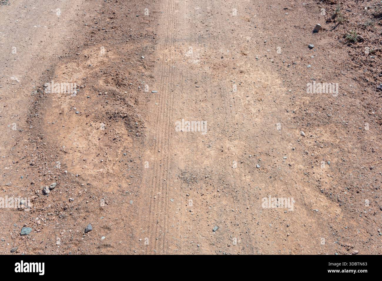 Traccia di struzzo che dorme su strada sterrata sulla riva del bacino idrico della diga di Nqweba, sparata alla luce della tarda primavera vicino a Graaff-Reinet, Capo Orientale, Sout Foto Stock