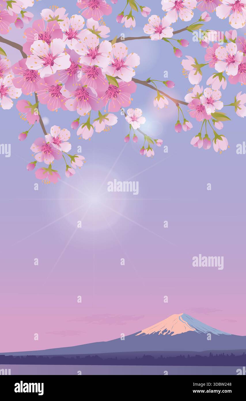 Ramo fiorito di ciliegi in fiore sullo sfondo del monte Fuji. Una cima innevata alla luce del sole. Immagine vettoriale realistica di petali bianchi che cadono. Paesaggio primaverile mattutino in Giappone. Illustrazione Vettoriale