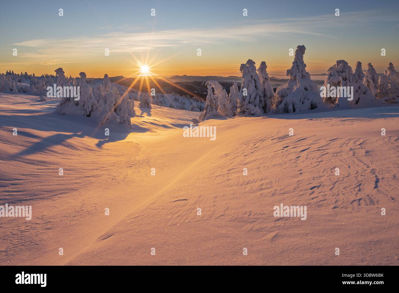 Vista di un campo innevato e alberi brillano sotto i raggi dorati del sole che tramonta, gettando lunghe ombre attraverso il paesaggio incontaminato, Mala Fatr Foto Stock