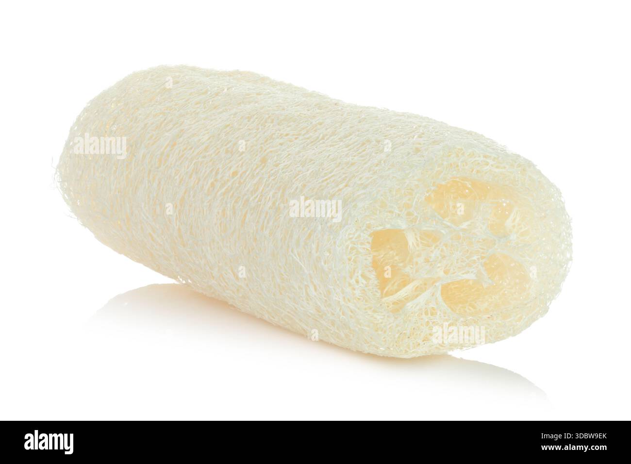 Spugna di loofah, isolata su sfondo trasparente, messa a fuoco completa per una texture nitida. Accessorio per la pulizia ecologica naturale, cucina sostenibile e riutilizzabile a. Foto Stock