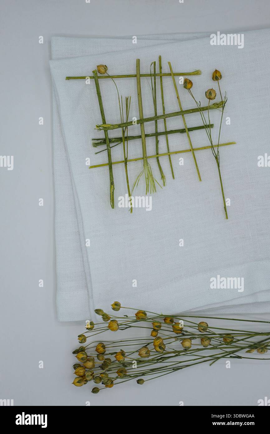 Le cialde di semi di lino dorati sono posizionate su un tovagliolo bianco. Biancheria sbiancata. Profondità di campo ridotta. Copia spazio. Foto Stock