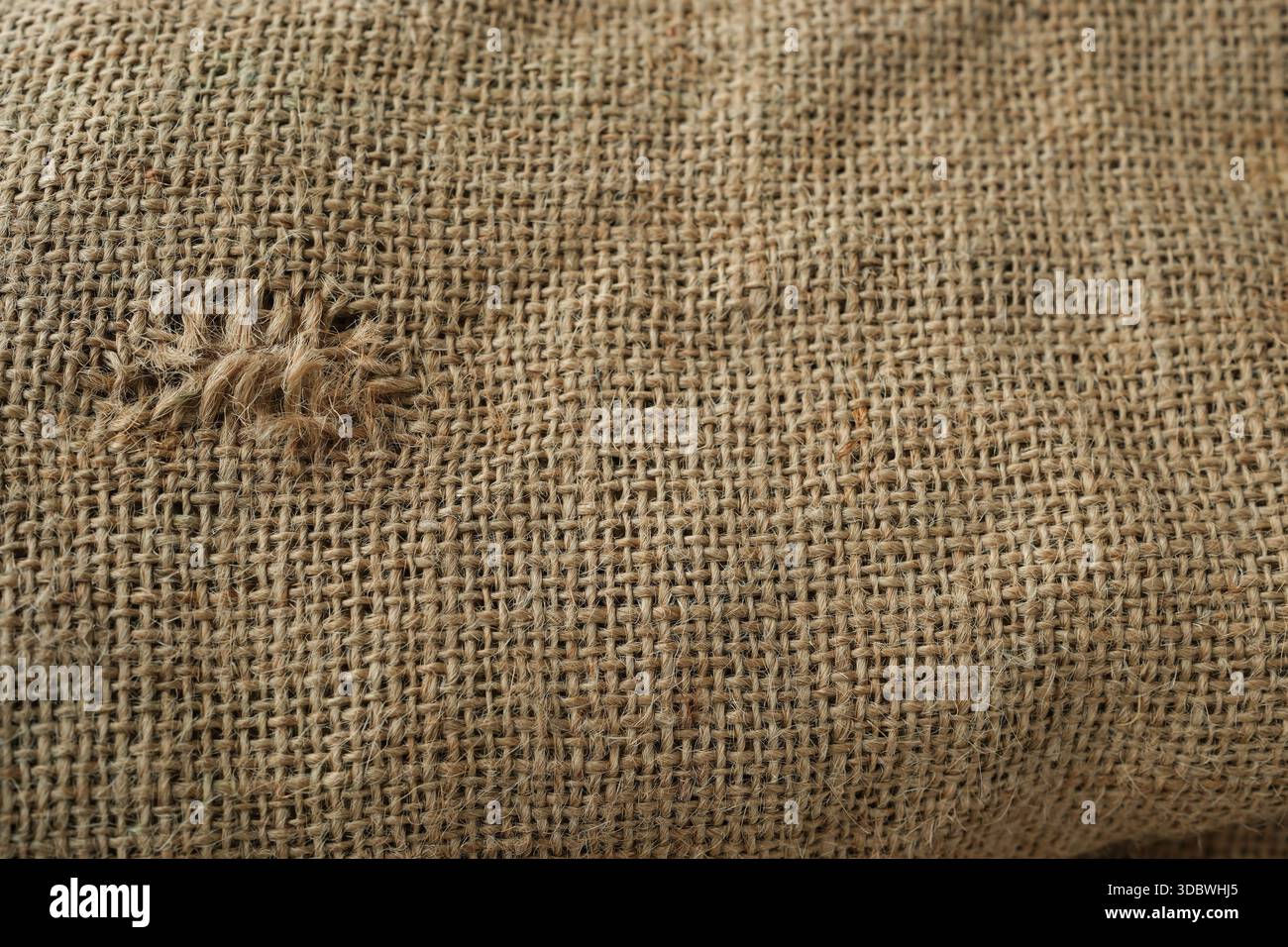 Trama in filo di iuta su un sacchetto strappato. Materiale naturale ricavato dalla pianta della iuta. Sacchetti di iuta per imballaggi agricoli. Copia spazio. Foto Stock