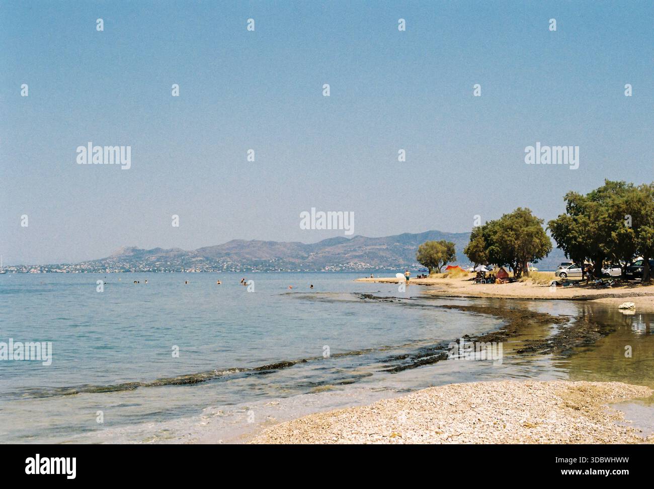Spiaggia poco profonda con nuotatori, alberi e tende lungo il litorale, isola di Agistri, Grecia Foto Stock