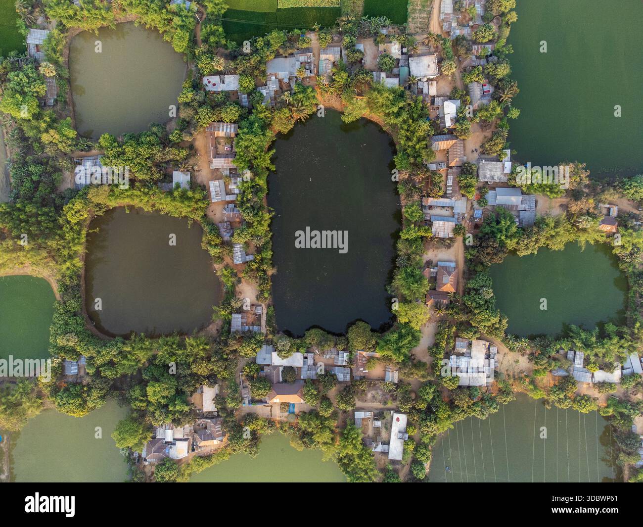 Veduta aerea di un gruppo di stagni che riflettono il cielo, annidato tra case e vegetazione allo storico stagno 365, Dhamoirhat, Rajshahi Division, Banglade Foto Stock