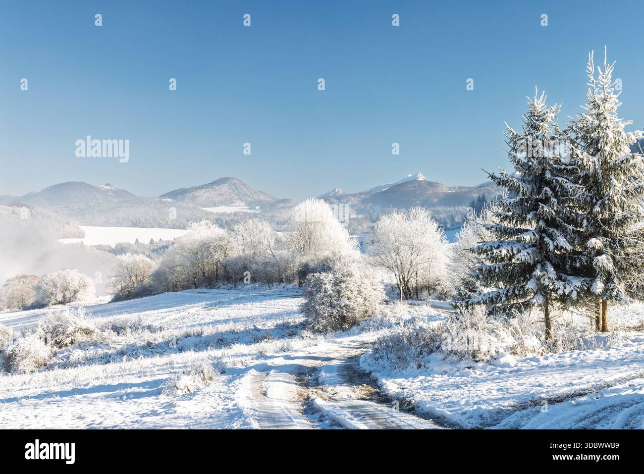 Un'incontaminata scena invernale si dispiega tra alberi carichi di neve e un cielo azzurro cristallino. Montagne lontane aggiungono alla bellezza serena del paesaggio ghiacciato e un Foto Stock