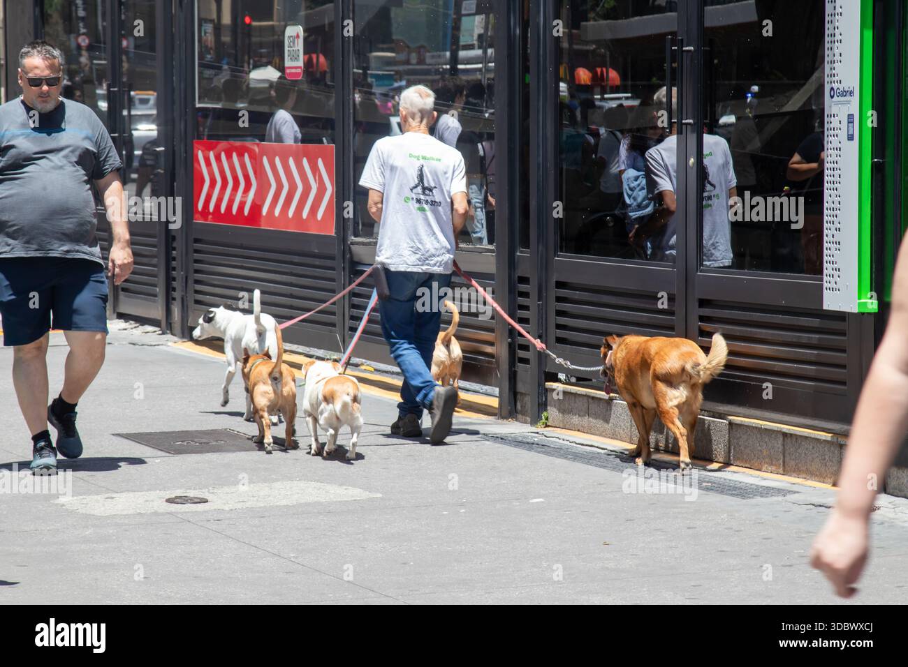 Cammina per strada Foto Stock