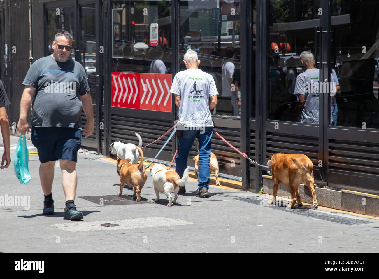Cammina per strada Foto Stock