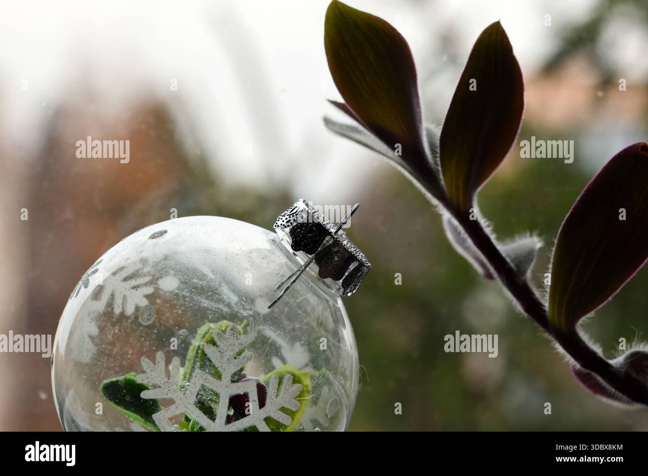 Baule natalizie limpido con Snowflake Design and Plant vicino alla finestra Foto Stock