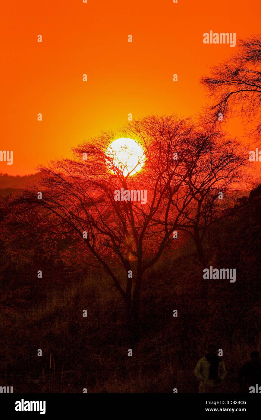 Vista di un intenso tramonto arancione che forma gli alberi contro un cielo ardente, creando un sorprendente contrasto di luce e ombra, il Lago Uchali, il Punjab, il Pakist Foto Stock