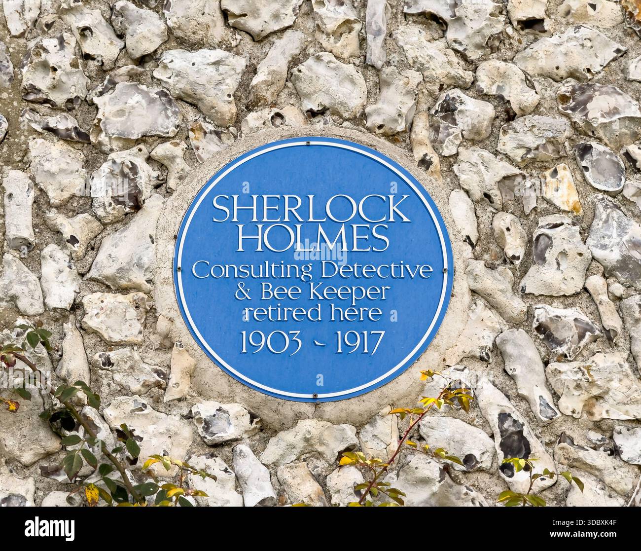 EAST DEAN, EAST SUSSEX, INGHILTERRA - 8 SETTEMBRE 2025: Targa blu Sherlock Holmes marcatore commemorativo su un edificio a East Dean, East Sussex, Englan Foto Stock