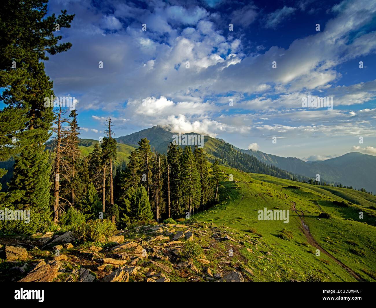 La vista delle lussureggianti colline verdi incontra il cielo con nuvole sparse, incorniciate da alberi e rocce verdi scuri a Sri Paye, Khyber Pakhtunkhwa, Pakistan. Foto Stock