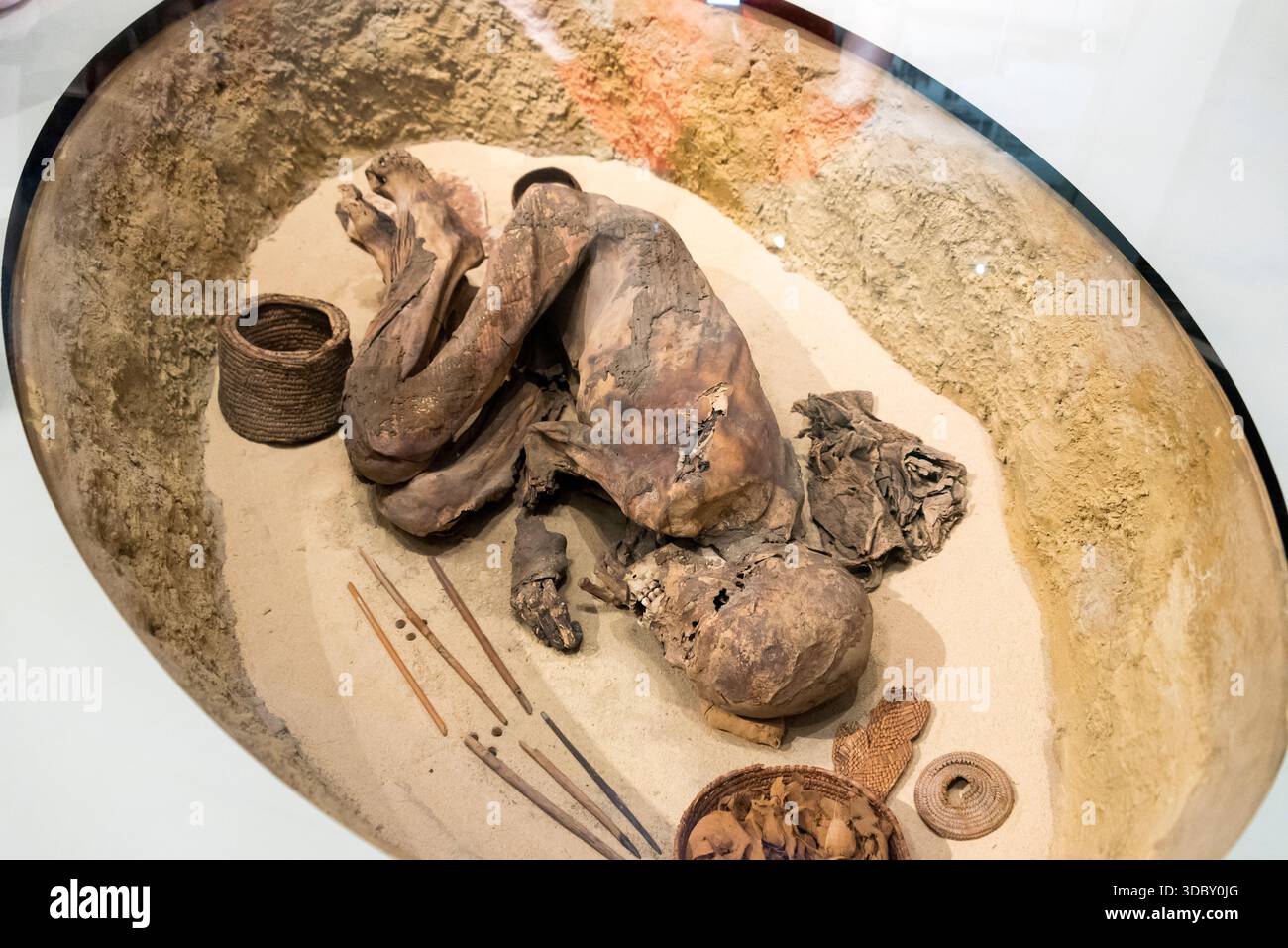 Antica mummia. Museo Egizio di Torino, Nord Italia Foto Stock