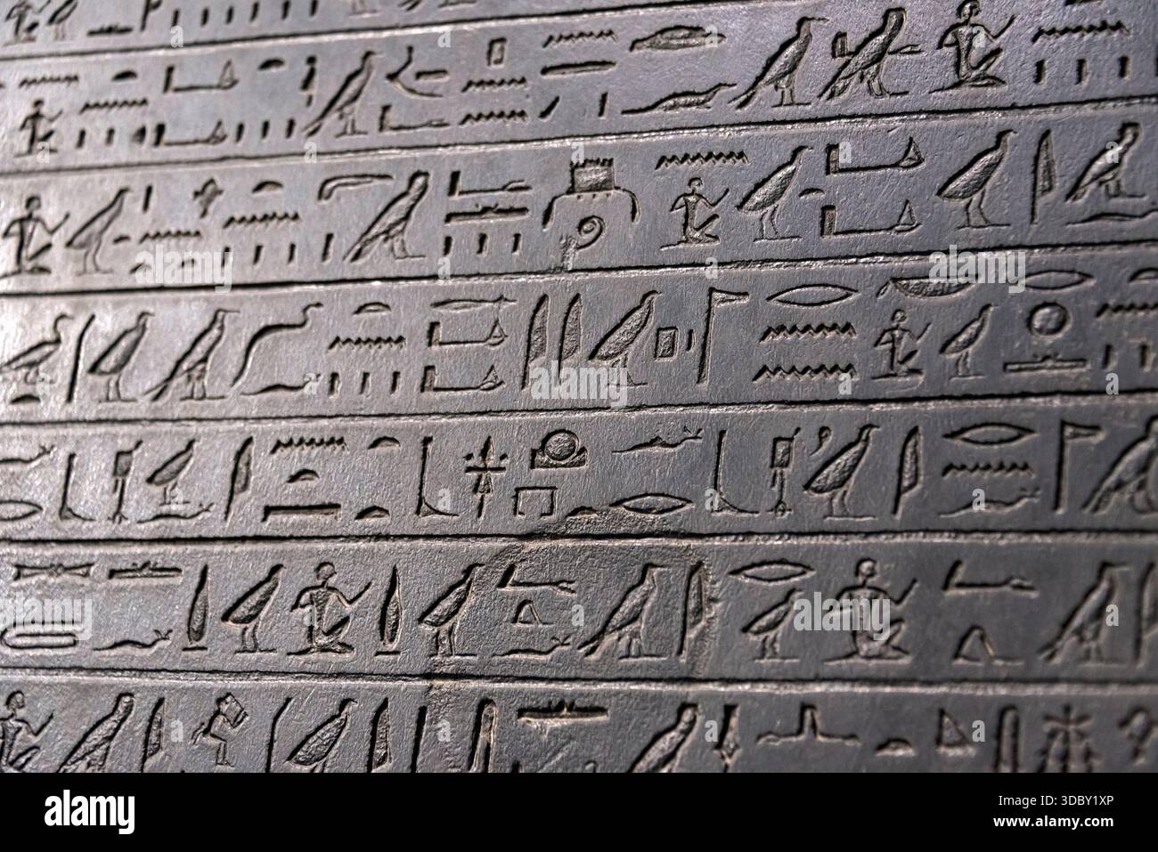 Museo Egizio di Torino, Nord Italia Foto Stock