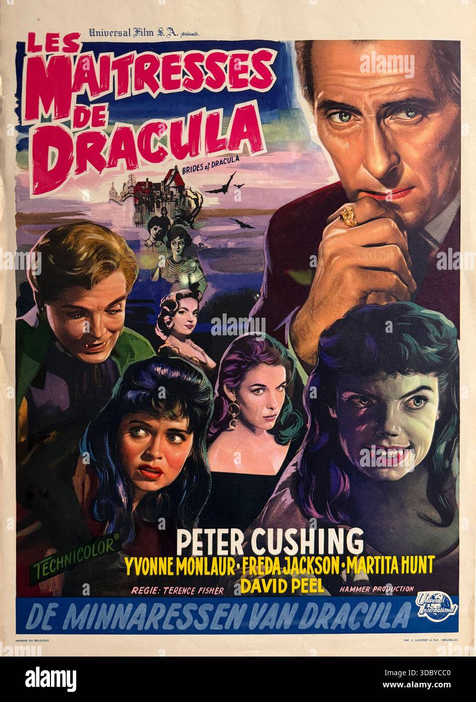Poster cinematografico illustrato d'epoca per il film horror "Les Maitresses de Dracula" con ritratti drammatici ed elementi gotici peter cushing - Immagine stock catturata con smartphone