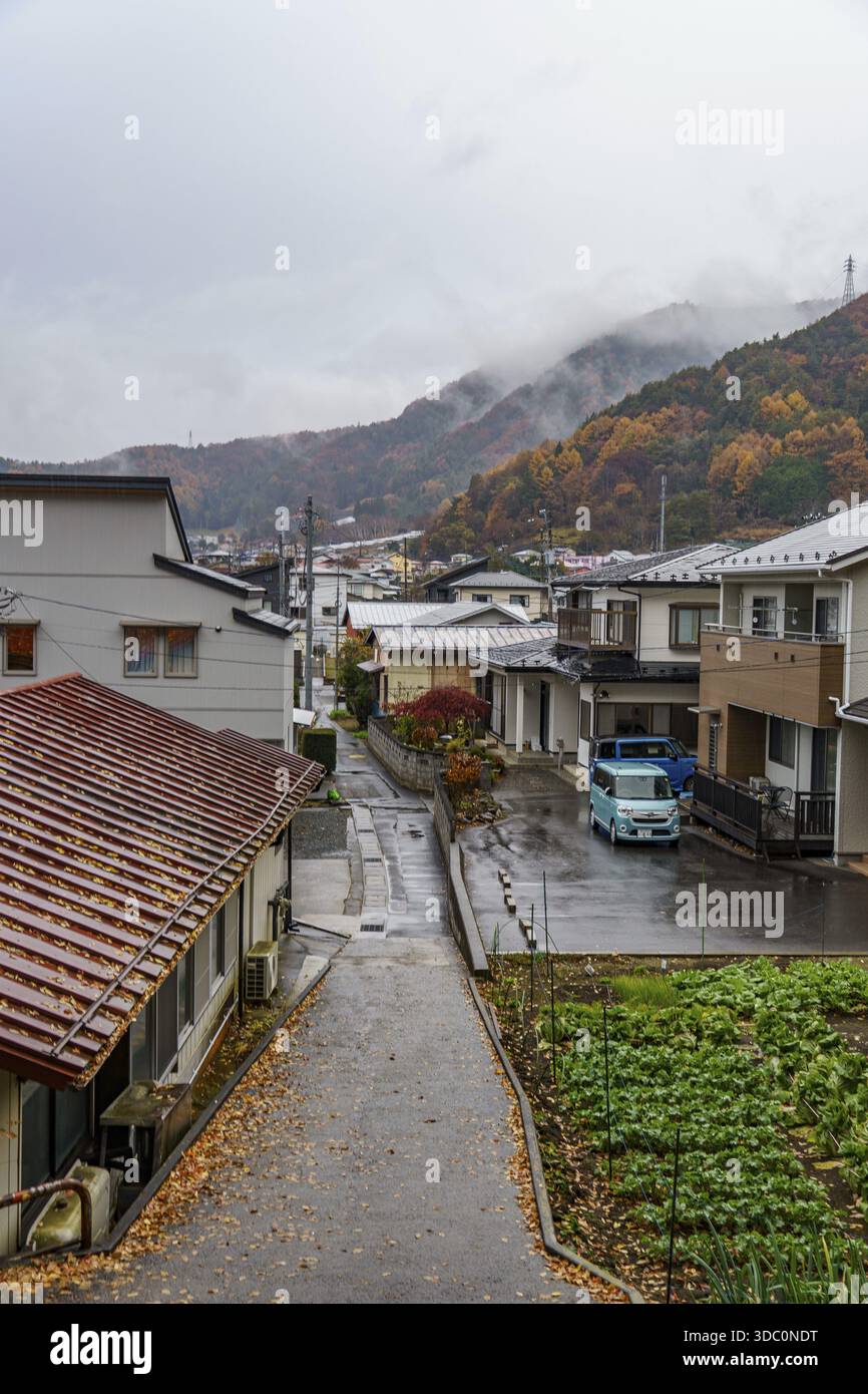 Nuvoloso giorno d'autunno in una zona residenziale con colline sullo sfondo, Tokyo, Giappone Foto Stock