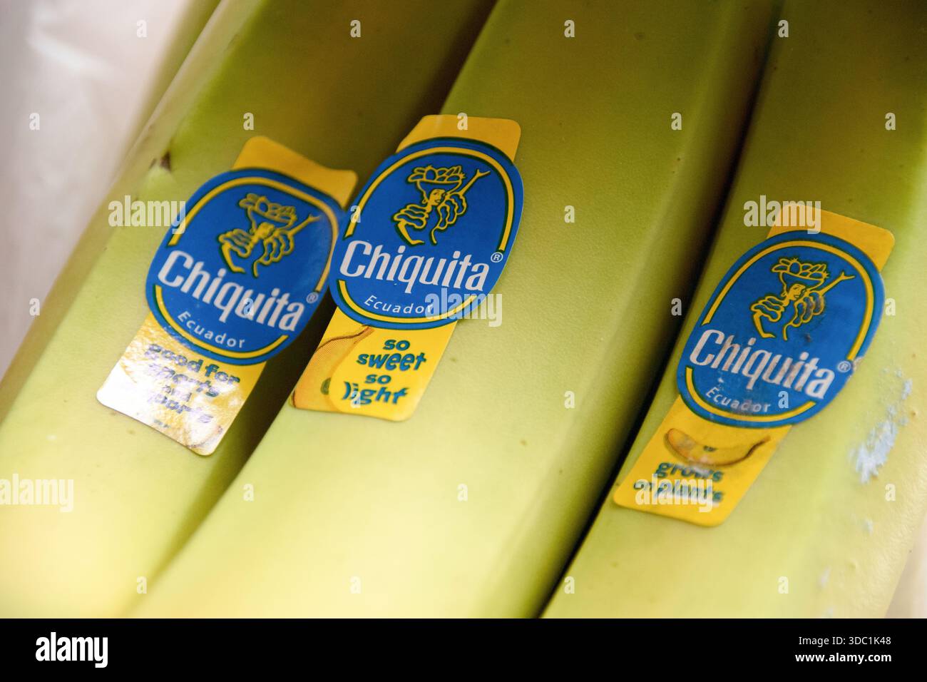 Chiquita è uno dei marchi di banane più grandi e conosciuti al mondo, gestito dalla società svizzera-americana Chiquita Brands International. Foto Stock