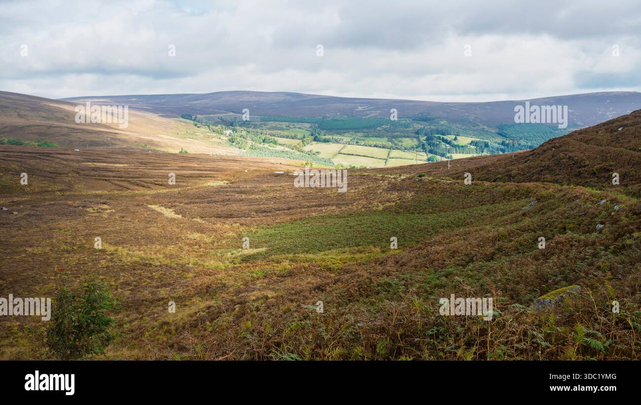 Panorama remoto dei monti Wicklow, colline ondulate, pendii salmastri, valli boscose, luce solare soffusa, l'Irlanda selvaggia. Foto Stock