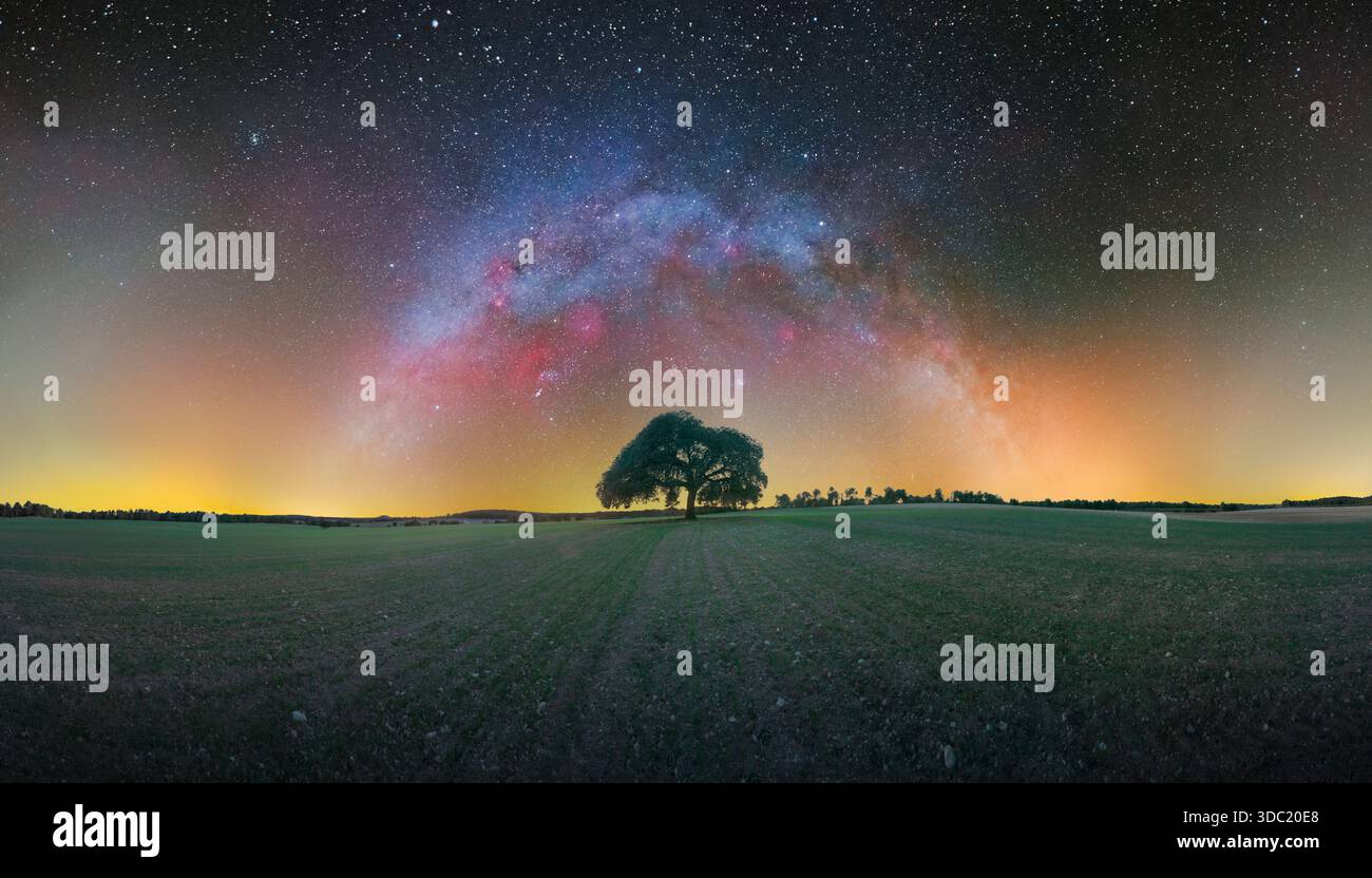 Via Lattea sopra Lone Tree nel Winter Field Foto Stock