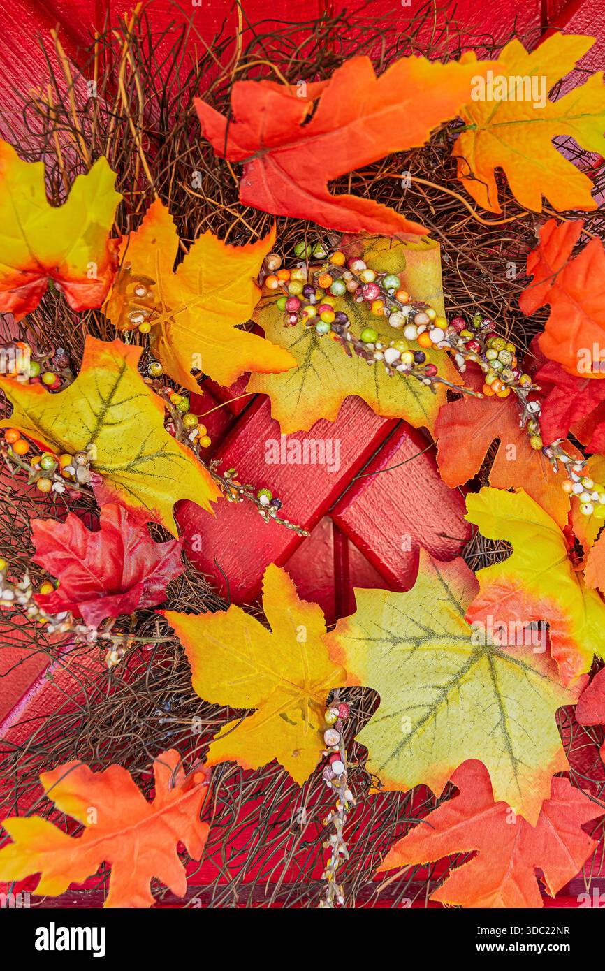 fogliame autunnale come decorazione Foto Stock