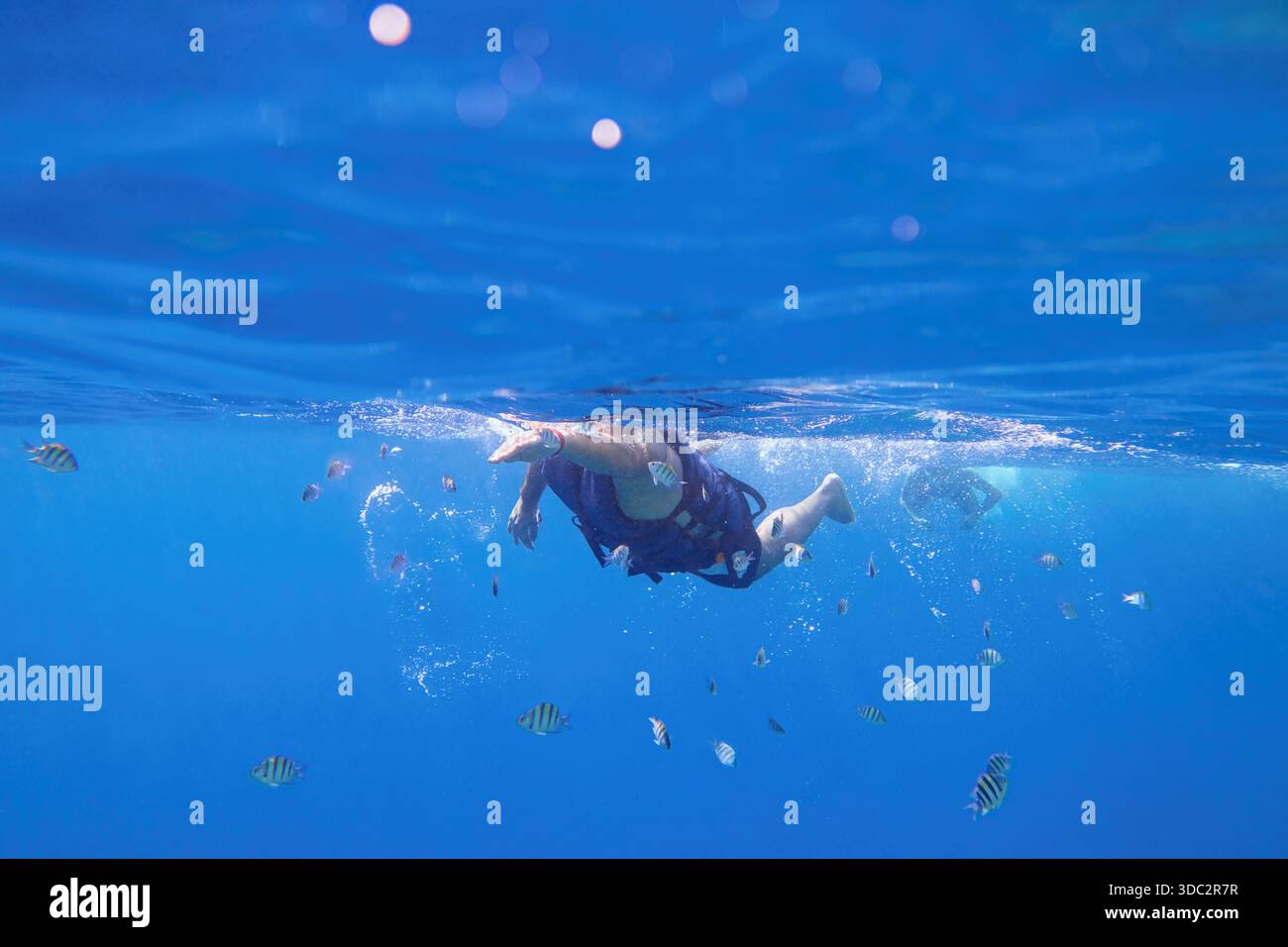 Uomo nel giubbotto salvagente che nuota nell'acqua blu del mare Foto Stock