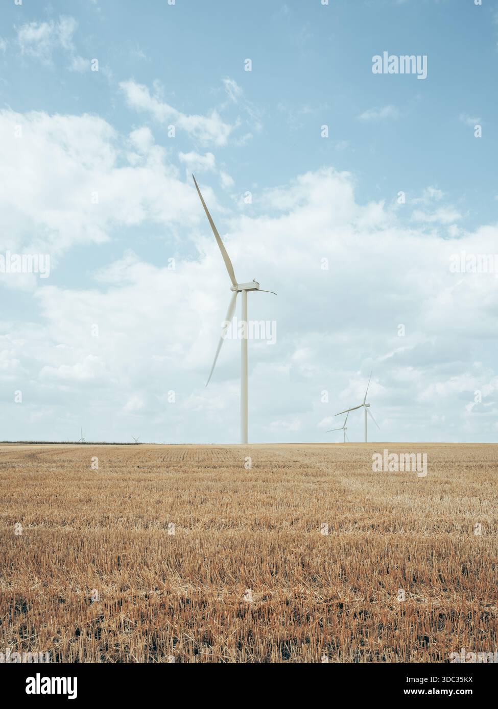 Una turbina eolica in un campo di grano tagliata in estate Foto Stock