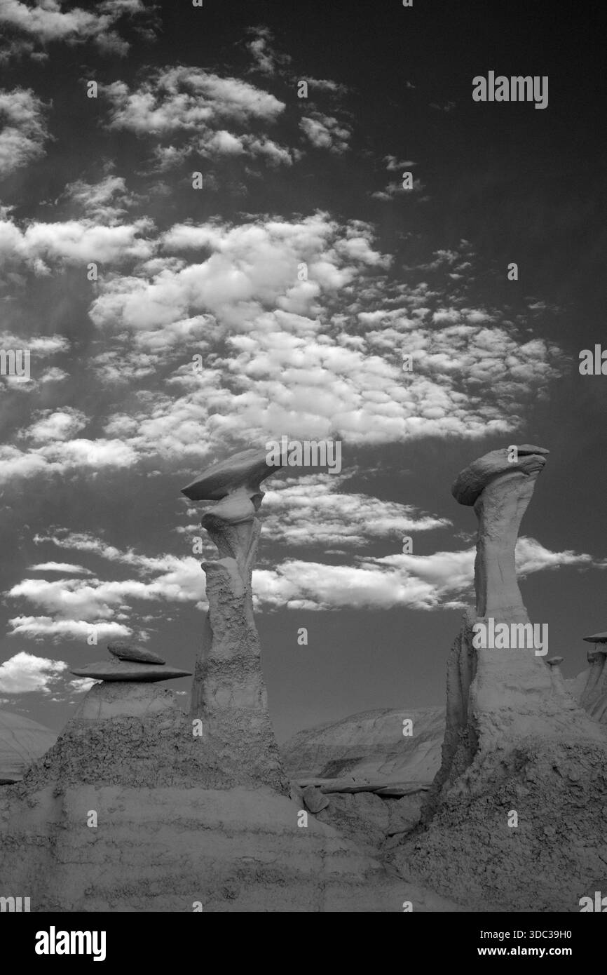 Conversing Hoodoos, De-Na-Zin Wilderness, Bisti Badlands, New Mexico Foto Stock